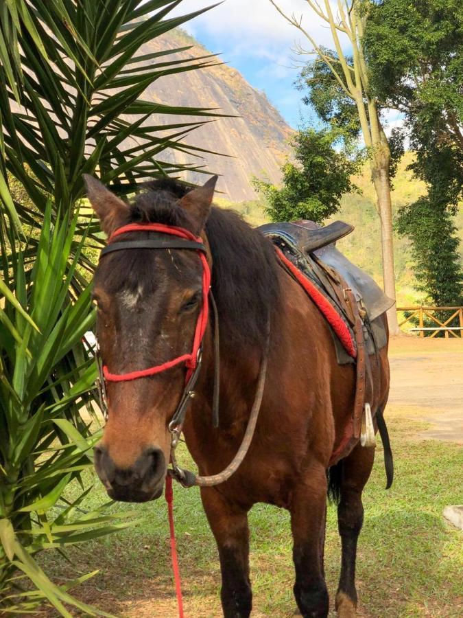 Hotel Fazenda Santa Helena Simão Pereira Dış mekan fotoğraf